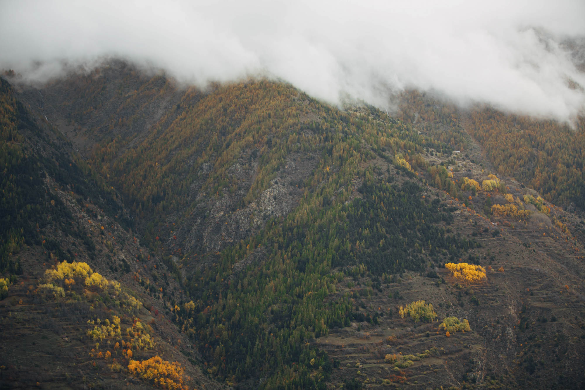 HUTS & HINTERLANDS