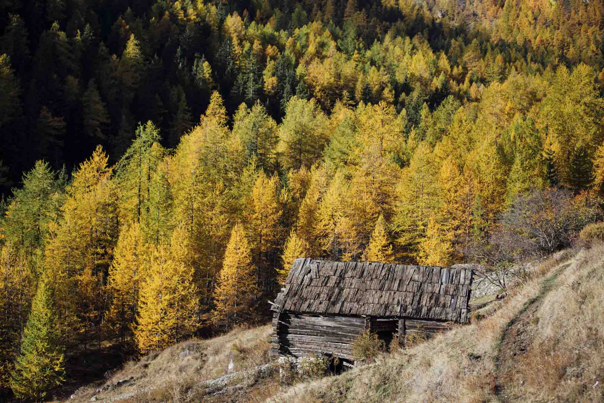 HUTS & HINTERLANDS